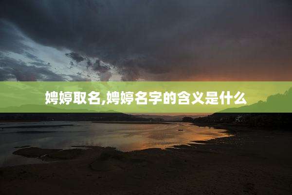娉婷取名,娉婷名字的含义是什么