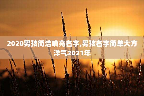 2020男孩简洁响亮名字,男孩名字简单大方洋气2021年