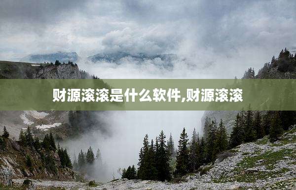 财源滚滚是什么软件,财源滚滚