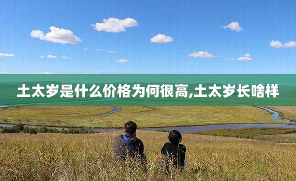 土太岁是什么价格为何很高,土太岁长啥样