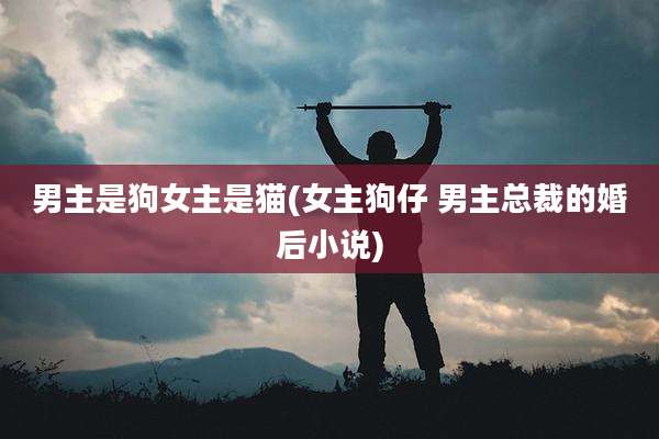 男主是狗女主是猫(女主狗仔 男主总裁的婚后小说)