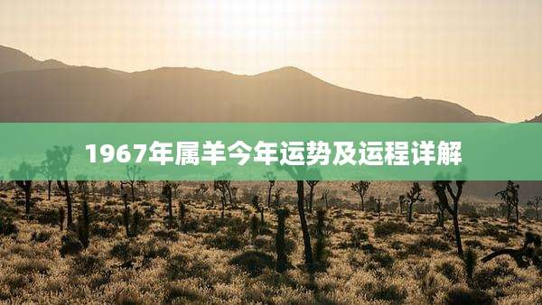 1967年属羊今年运势及运程详解
