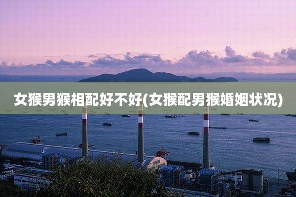 女猴男猴相配好不好(女猴配男猴婚姻状况)