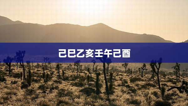 己巳乙亥壬午己酉