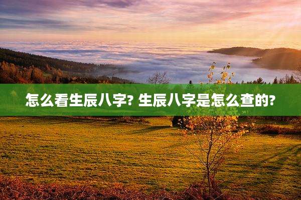 怎么看生辰八字? 生辰八字是怎么查的?