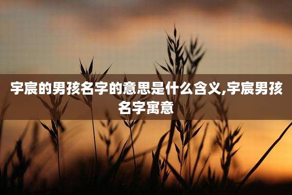 宇宸的男孩名字的意思是什么含义,宇宸男孩名字寓意