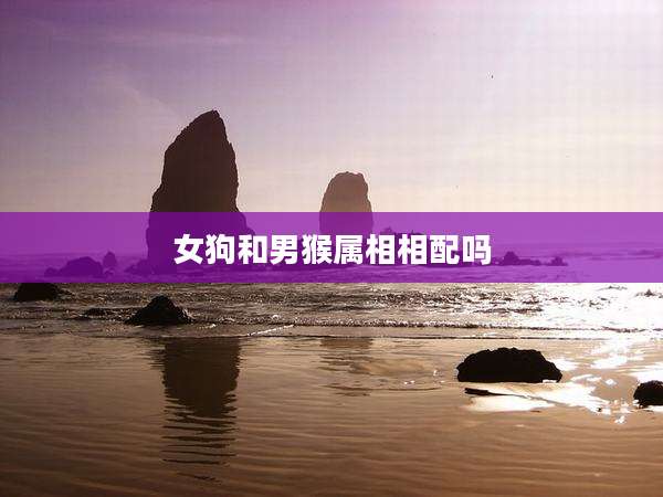 女狗和男猴属相相配吗