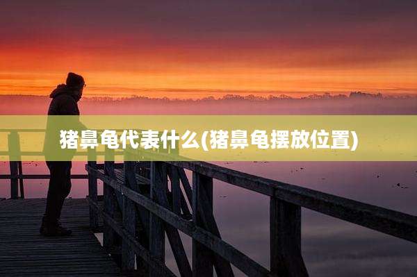 猪鼻龟代表什么(猪鼻龟摆放位置)