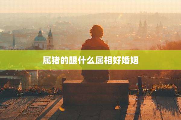 属猪的跟什么属相好婚姻
