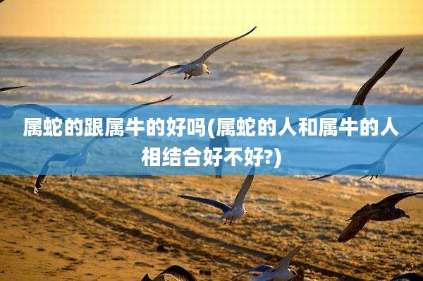 属蛇的跟属牛的好吗(属蛇的人和属牛的人相结合好不好?)