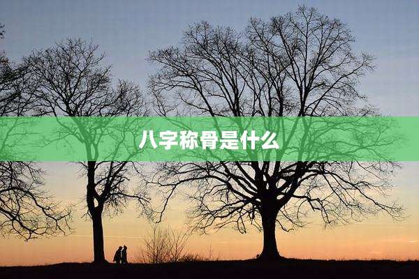 八字称骨是什么