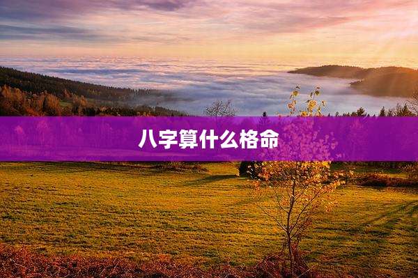 八字算什么格命