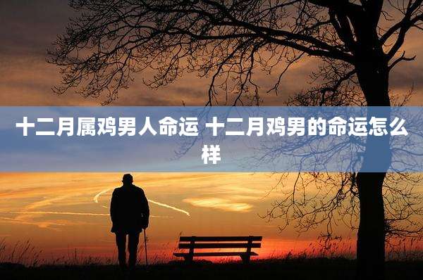 十二月属鸡男人命运 十二月鸡男的命运怎么样