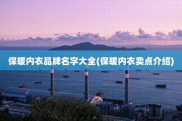 保暖内衣品牌名字大全(保暖内衣卖点介绍)