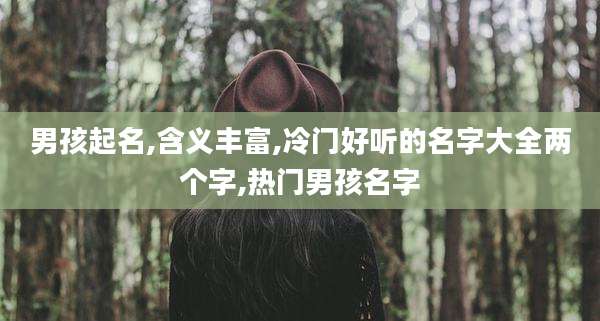 男孩起名,含义丰富,冷门好听的名字大全两个字,热门男孩名字