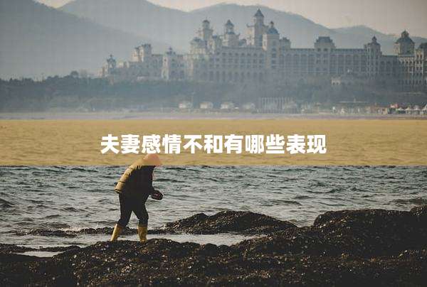 夫妻感情不和有哪些表现