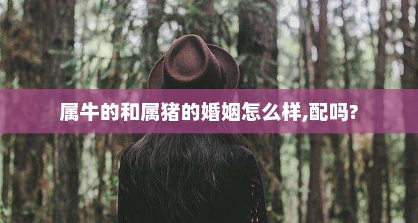 属牛的和属猪的婚姻怎么样,配吗?