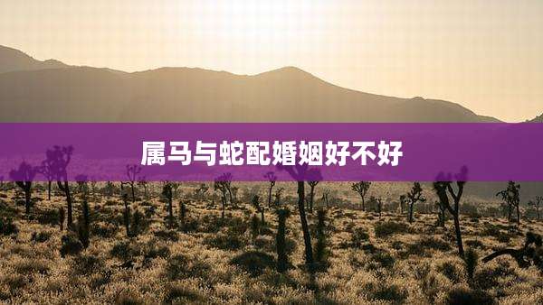 属马与蛇配婚姻好不好