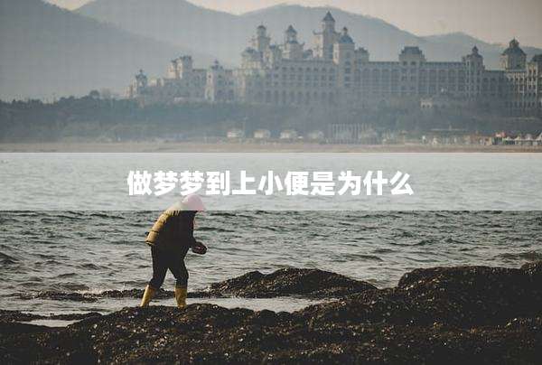 做梦梦到上小便是为什么
