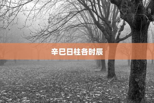 辛巳日柱各时辰