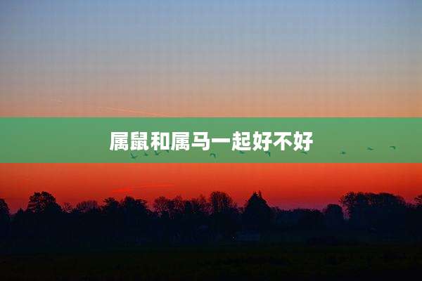 属鼠和属马一起好不好