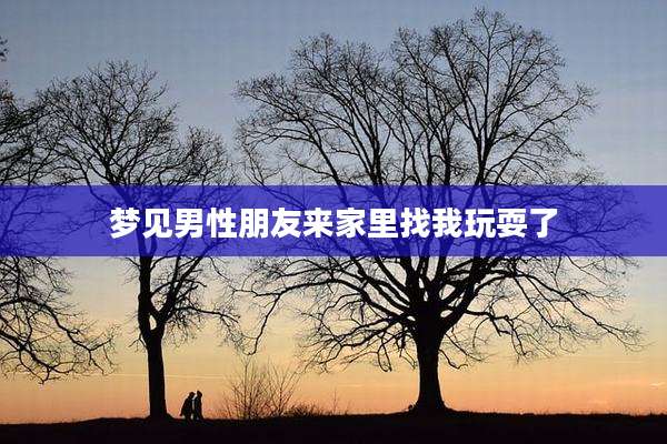 梦见男性朋友来家里找我玩耍了