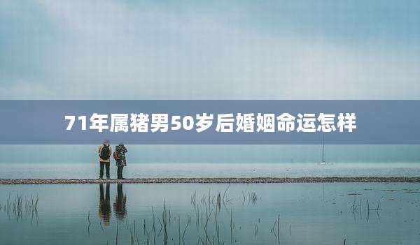 71年属猪男50岁后婚姻命运怎样