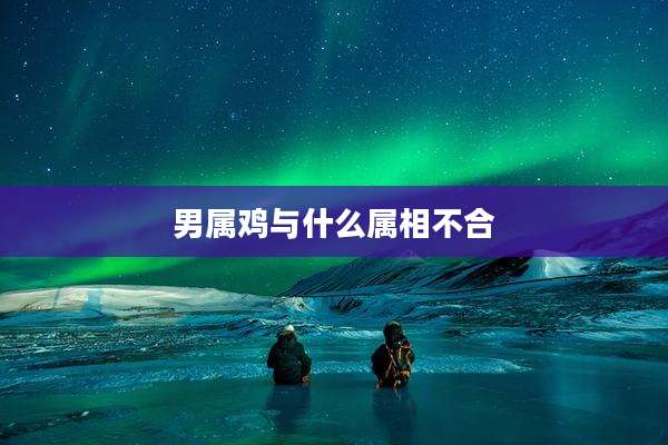 男属鸡与什么属相不合