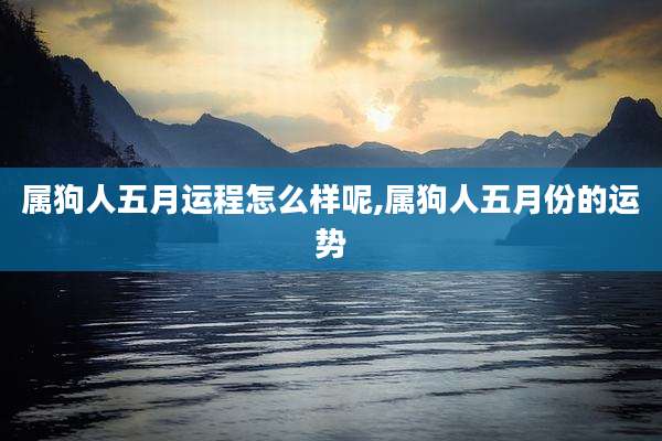 属狗人五月运程怎么样呢,属狗人五月份的运势
