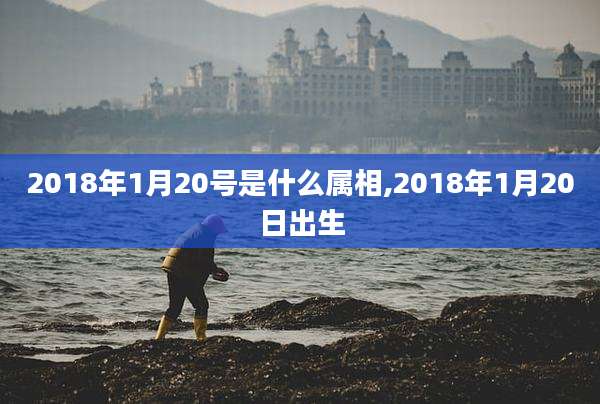 2018年1月20号是什么属相,2018年1月20日出生