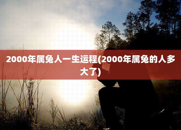 2000年属兔人一生运程(2000年属兔的人多大了)