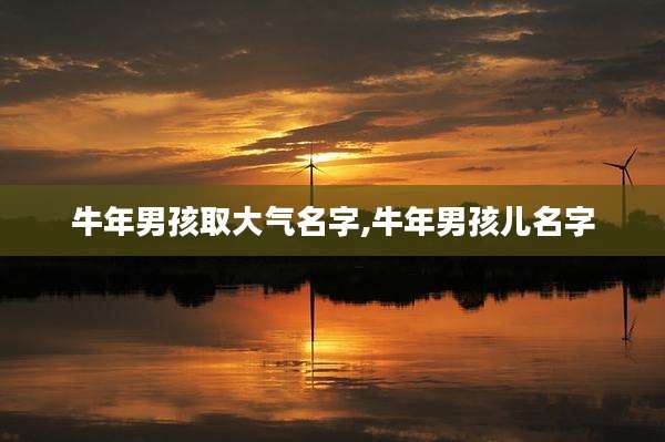 牛年男孩取大气名字,牛年男孩儿名字