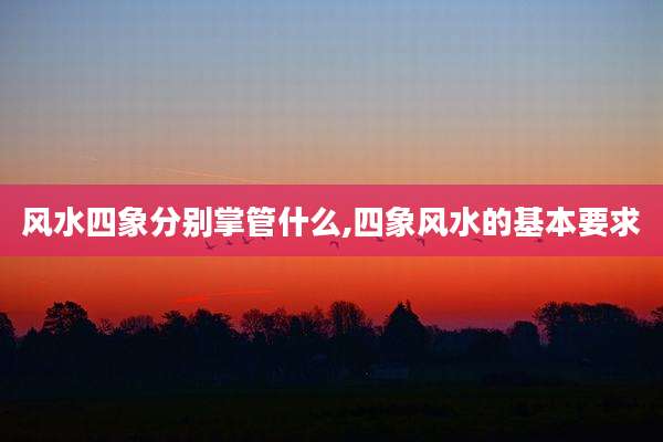 风水四象分别掌管什么,四象风水的基本要求