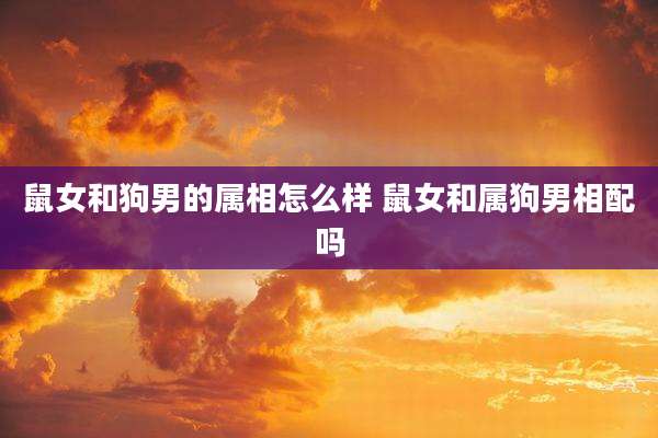 鼠女和狗男的属相怎么样 鼠女和属狗男相配吗