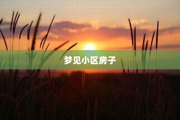 梦见小区房子