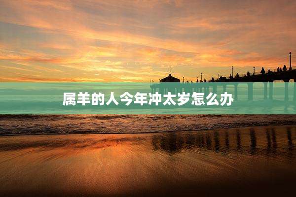 属羊的人今年冲太岁怎么办