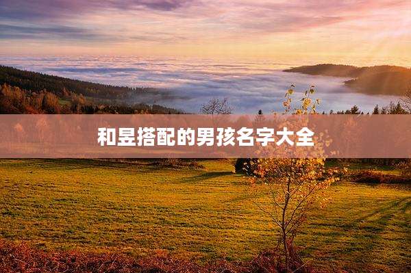 和昱搭配的男孩名字大全