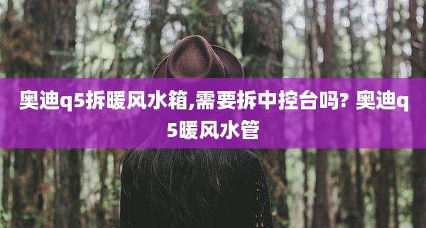奥迪q5拆暖风水箱,需要拆中控台吗? 奥迪q5暖风水管