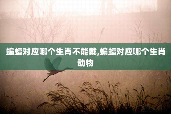 蝙蝠对应哪个生肖不能戴,蝙蝠对应哪个生肖动物