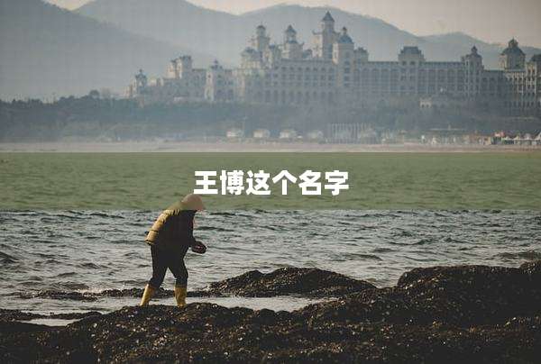 王博这个名字