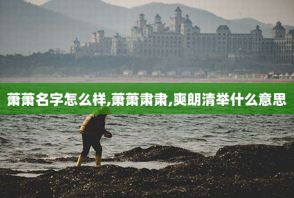 萧萧名字怎么样,萧萧肃肃,爽朗清举什么意思