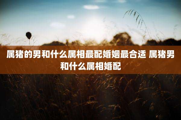 属猪的男和什么属相最配婚姻最合适 属猪男和什么属相婚配