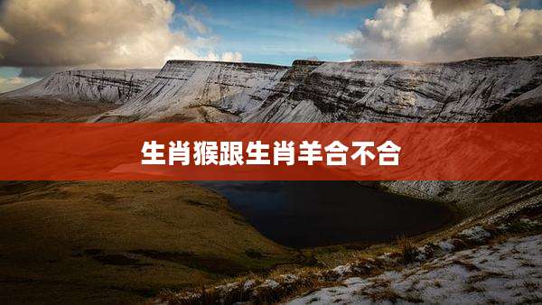 生肖猴跟生肖羊合不合