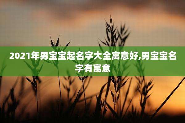2021年男宝宝起名字大全寓意好,男宝宝名字有寓意