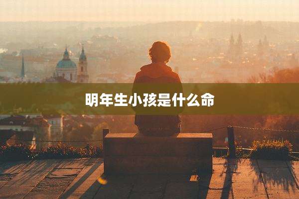 明年生小孩是什么命