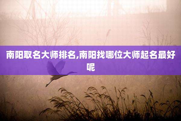 南阳取名大师排名,南阳找哪位大师起名最好呢