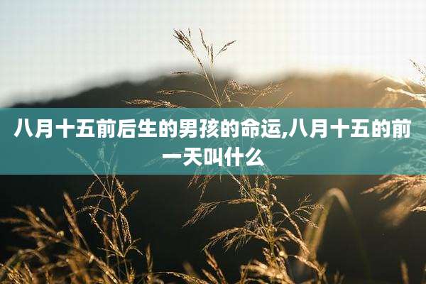 八月十五前后生的男孩的命运,八月十五的前一天叫什么