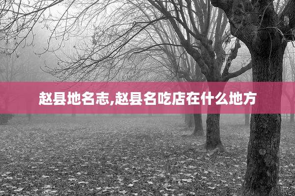 赵县地名志,赵县名吃店在什么地方