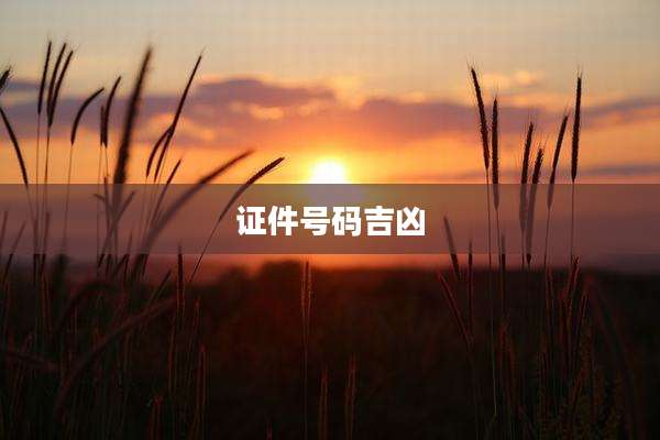 证件号码吉凶