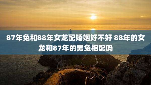 87年兔和88年女龙配婚姻好不好 88年的女龙和87年的男兔相配吗
